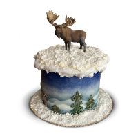 Dort na narozeninovou oslavu od Cake Art – inspirace 5